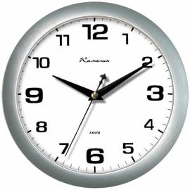 Часы настенные ход плавный, офисные Камелия "Серебро", круглые, 29*29*3,5, серебристая рамка