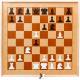 Шахматы демонстрационные настенные, Десятое королевство, магнитные, поле 70*70см (ПОД ЗАКАЗ)
