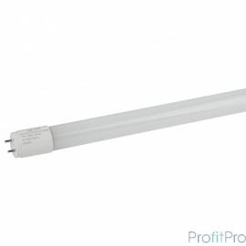 ЭРА Б0032975 ECO LED T8-10W-865-G13-600mm Лампа ЭРА (диод,трубка стекл,10Вт,хол,непов. G13)