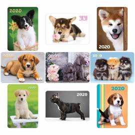 Календарь карманный Hatber "Собаки", глянцевая ламинация, 2020г