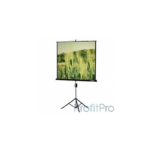 Lumien Экран на треноге 180x180 см Eco View LEV-100102 1:1 с возможностью настенного крепления