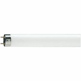 Лампа люминесцентная Philips TL-D G13 18W/54-765 SLV (короткая)